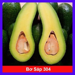 Cây Bơ 034