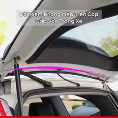 Gioăng cốp - 1 dải dài 1m6