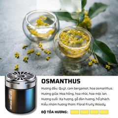 Sáp cốc thalo nhựa