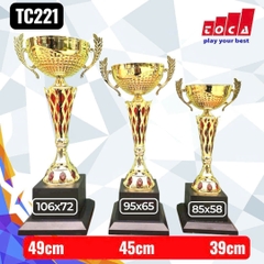Cúp TC221