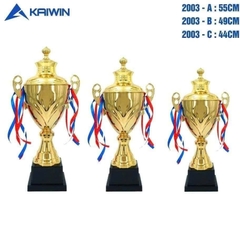 Cúp Trao Giải Kaiwin 2003