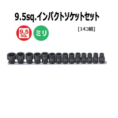 Bộ đầu khẩu ngắn 3/8" 14 chi tiết 8-22mm SIGNET 22196