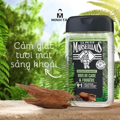 Gel Tắm Pháp dành cho Nam Le Petit Marseillais 4in1 Gỗ Tuyết Tùng & Dương Xỉ