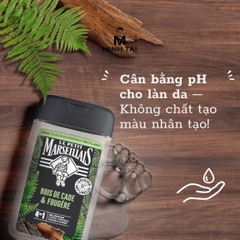 Gel Tắm Pháp dành cho Nam Le Petit Marseillais 4in1 Gỗ Tuyết Tùng & Dương Xỉ