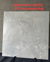 Gạch ấn độ 120x120 ADVIK GREY MATT(WHITE BODY)  xương trắng