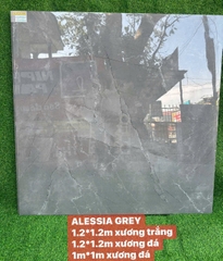 Gạch ân độ 120x120 ALESSIA GREY( GLOSSY) xương đá