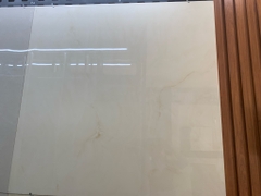 Gạch ấn độ 120x120 1013 CREMA WHITE BODY (xương trắng)