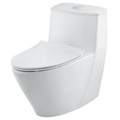 Bệt liền khối AC-919VRN/BW1 INAX