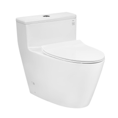 Bệt khối TOTO MS625DT8