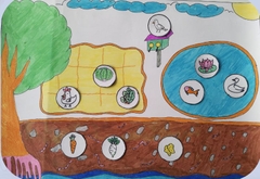 Mô hình khu vườn của em – Học liệu thực hành STEM