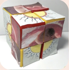 Bộ ghép hình từ các khối lập phương – Học liệu thực hành STEM