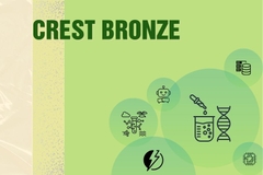 CREST Awards cấp độ Bronze