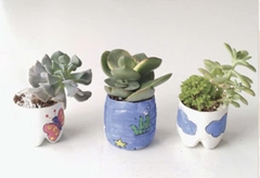 Chậu cây tái chế – Học liệu thực hành STEM