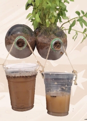 Mô hình thí nghiệm hạn chế xói mòn đất – Học liệu thực hành STEM