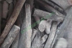Eucalyptus Binchotan White Charcoal