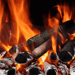 Mangrove Charcoal