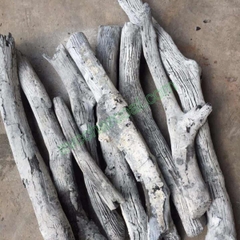 Maitiew Binchotan White Charcoal
