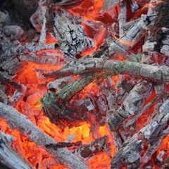 Natural Bamboo Charcoal