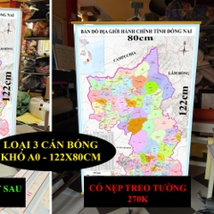 Bản Đồ Đồng Nai (Bình Phước và Đồng Nai) cập nhật 2026 có cả tên xã phường mới và cũ chi tiết