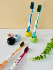 Bàn Chải Đánh Răng HT8054- Hộp 50 cây - TOOTHBRUSH