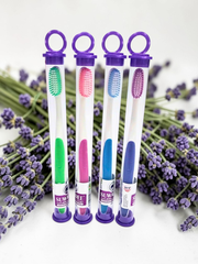 Bàn Chải Đánh Răng HT8049 - Hộp 50 cây (Ống PET) - TOOTHBRUSH
