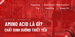 AMINO ACID- CHẤT DINH DƯỠNG THIẾT YẾU