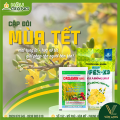 RVAC - Phân bón lá đạm-vi lượng RVAC FOFER X3 RỤNG LÁ MAI 200g - Nts 25% + B 1.500 ppm + Zn 1.000 ppm - Giúp mai rụng lá nhanh và đồng loạt, hoa trợ ra hoa đúng thời điểm