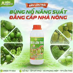 HẬU GIANG - Phân bón hỗn hợp NPK SIÊU LỚN TRÁI JAPAN 500ML - N 5% + P₂O₅ 6% + K₂O 7% + Zn, Fe, Bo - GIÚP TRÁI TO – ĐẸP – CHẮC RUỘT