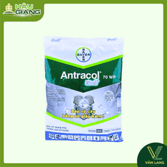BAYER - Thuốc trừ bệnh ANTRACOL 70WP 100g - PROPINEB 700 g/kg - Chuyên trị thán thư, sương mai, đạo ôn, khô vằn,... giúp lá xanh, đứng lá