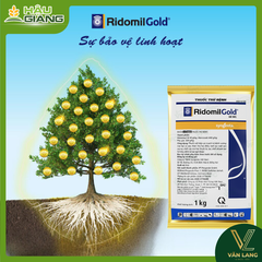 SYNGENTA - Thuốc trừ bệnh  RIDOMIL GOLD 100g - Metalaxyl-M  40 g/kg + Mancozeb 640 g/kg - Đặc trị thán thư, nấm hồng, sương mai, phấn trắng, đốm lá,.....