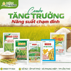 HẬU GIANG - Phân bón hỗn hợp BONSAI GOLD JAPAN 35GR - P₂O₅hh 30% + K₂Ohh 20% -