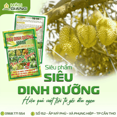 HẬU GIANG - Phân bón vi lượng SIÊU DINH DƯỠNG JAPAN 1KG - Zn 15.000 ppm + Acid Humic 70% - Cải thiện đất, giúp rễ khỏe, đâm chồi, đòng to, trái đẹp, giảm rụng trái