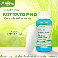 HẬU GIANG - Thuốc trừ bệnh MITTATOP 325SC 240ml - Azoxystrobin 200g/L + Difenoconazole 125g/L - Phòng trị lem lép hạt, giữ xanh lá