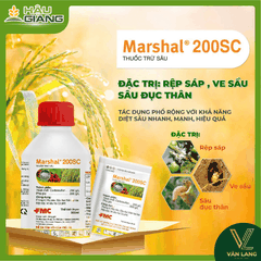 FMC - Thuốc trừ sâu MARSHAL 200SC 500ml - Carbosulfan 200 g/L - Phòng trừ côn trùng chích hút, sâu đục thân, rệp sáp…