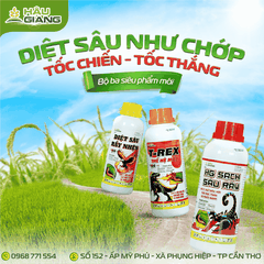 HẬU GIANG - HG SẠCH SÂU RẦY 37EC 450ML - Abamectin 2% w/w + Profenofos 35% w/w - Đặc trị sâu tơ, sâu cuốn lá, sâu đục thân, sâu đục quả, rệp sáp, rầy