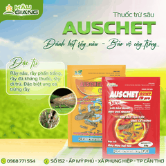 TD - Thuốc trừ sâu AUSCHET 80WP PRO 25GR - Nitenpyram 40% w/w + Pymetrozine 40% w/w - Kiểm soát rầy nâu hiệu quả: trứng – rầy non – rầy trưởng thành