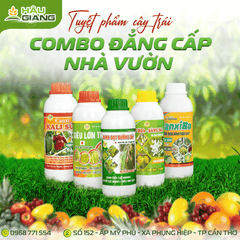 HẬU GIANG - Phân bón hỗn hợp NPK SIÊU LỚN TRÁI JAPAN 500ML - N 5% + P₂O₅ 6% + K₂O 7% + Zn, Fe, Bo - GIÚP TRÁI TO – ĐẸP – CHẮC RUỘT