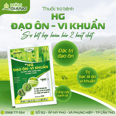 HẬU GIANG - Thuốc trừ bệnh HG ĐẠO ÔN  VI KHUẨN 715WP 25GR - Tricyclazole: 700g/kg + Kasugamycin: 15g/kg - Phòng trị đạo ôn, bạc lá, cháy bìa lá, thối bẹ, nám lá, đốm khuẩn,...