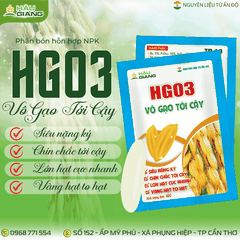 HẬU GIANG - Phân bón hỗn hợp HG 03 40GR - Nts 6% + P₂O₅ 16% + K₂O 36% - Tăng số lượng và chất lượng hạt lúa, đồng xanh, nặng hạt