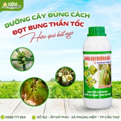 TD - Phân bón hỗn hợp NPK BUNG ĐỌT DƯỠNG CÂY 500ML -  Nts 5%w/v + P₂O₅hh 6%w/v + K₂Ohh 7% w/v - ĐÂM CHỒI NHANH, RA RỄ KHỎE