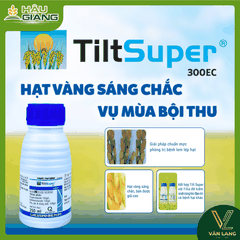 SYNGENTA - Thuốc trừ bệnh TILF SUPER 300EC 250ML - Difenoconazole 150g/L + Propiconazole 150g/L - Phòng & trị bệnh nấm phổ rộng: rỉ sắt, nấm hồng, thán thư, khô vằn, lem lép hạt