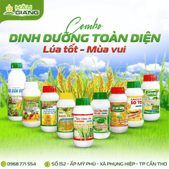 HẬU GIANG - Phân bón hỗn hợp SIÊU VÔ GẠO JAPAN 500ML - N 5% + P₂O₅ 6% + K₂O 7% + B 150 ppm + Zn 150 ppm + Fe 150 ppm - GIÚP LÚA CHÍN CHẮC TỚI CÂY, HẠT SÁNG TO TRÒN