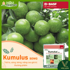 BASF - Thuốc trừ bệnh KUMULUS® 80WG 1kg - Sulfur 800 g/kg -Trừ bệnh phấn trắng, ghẻ sẹo, mốc tán đốm mốc, đốm phấn, nhện đỏ, nhện gié