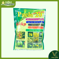 GNC - Phân bón vi lượng PACLO 20 1KG - Cu 15.000 ppm - Giúp thân, lá phát triển, ra hoa đồng đều, giữ trái non, cải thiện đất
