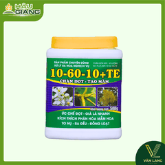 SUFAS – Phân bón lá 10-60-10 TE 500G - N 10% + P₂O₅ 60% + K₂O 10% + Vi lượng TE - Hỗ trợ phát triển bộ rễ, tăng tỷ lệ đậu trái, ra hoa đồng loạt – hạn chế hoa rụng sớm