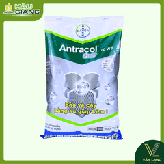 BAYER - Thuốc trừ bệnh ANTRACOL 70WP 1KG - PROPINEB 700 g/kg - Chuyên trị thán thư, sương mai, đạo ôn, khô vằn,... giúp lá xanh, đứng lá