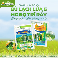 HẬU GIANG - HG BỌ TRĨ RẦY CHẾT NHANH 20GR - Acetamiprid 125g/kg + Imidacloprid 125g/kg - Phòng trừ rầy nâu, rầy xanh, bọ trĩ trên lúa, cây ăn trái và rau màu.