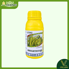 HỢP TRÍ - Thuốc điều hoà sinh trưởng BRIGHTSTAR 25SC 500ml - Paclobutrazol 250 g/L - Giúp cây phát triển thân, tăng số chòi hữu hiệu, giúp cây tập trung dinh dưỡng cho giai đoạn làm bông trái