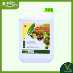 HUỲNH HƯƠNG - Chế phẩm sinh học ĐẠM CÁ VI SINH CÔNG NGHỆ CAO HH-01 4800ml - Đạm cá tự nhiên lên men - Giúp tơi xốp đất, rễ khỏe, lá xanh, tăng chất lượng nông sản