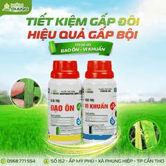 HẬU GIANG - ĐẠO ÔN VI KHUẨN 250SC 250ML+250ML - Hexaconazole: 30g/l + Tricyclazole: 220g/l + Ningnanmycin: 3% w/w - Phòng trị đạo ôn, cháy bìa lá, bạc lá